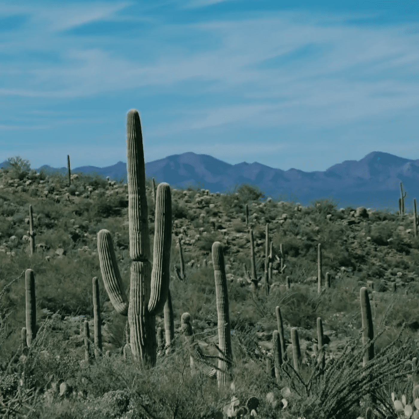 Arizona Downtown Hotels