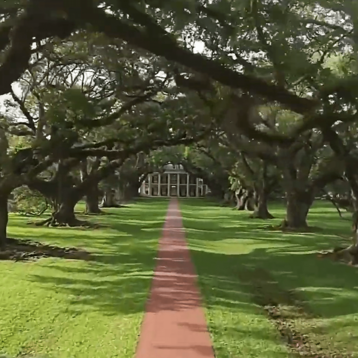 Louisiana Downtown Hotels