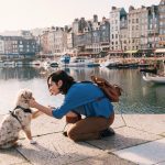 Preparation for the Travel with Your Dog