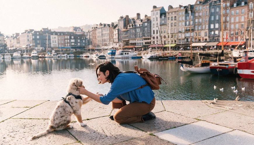 Preparation for the Travel with Your Dog