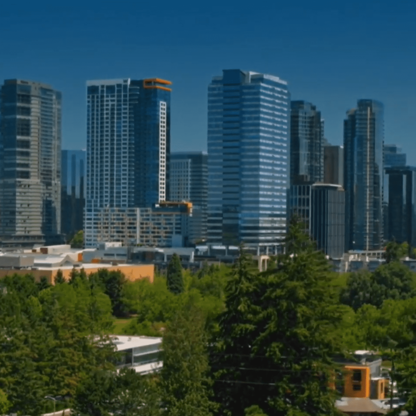 Bellevue Photo Downtown